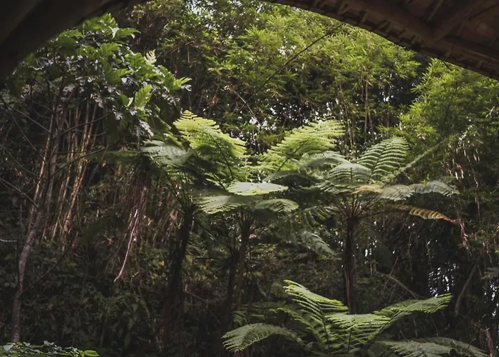 Aksari Ubud By Ini Vie Hospitality テガララン